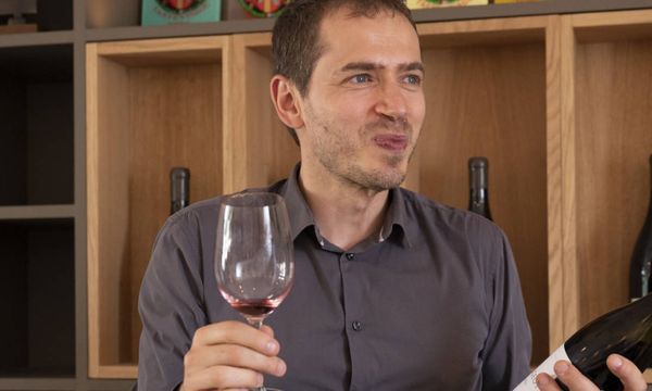 Visit Domaine Bourgogne - Wine tasting-photo
