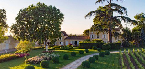 Château Jean Faure, Grand Cru Classé photo