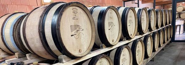 Por la ruta del vino-photo