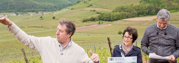 Qi Gong in the vineyards-photo