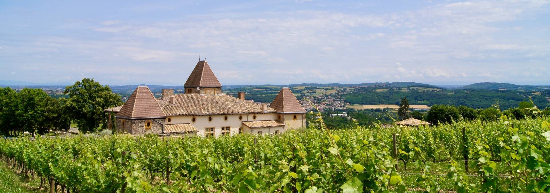 Château La Gallée - Rue des Vignerons