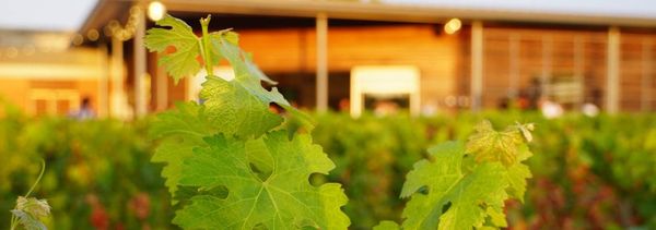 Agro-ökologischer Besuch-photo