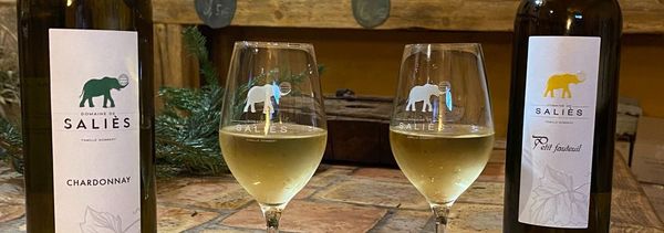 Dégustation de nos vins-photo