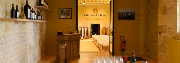 Taste our wines...-photo