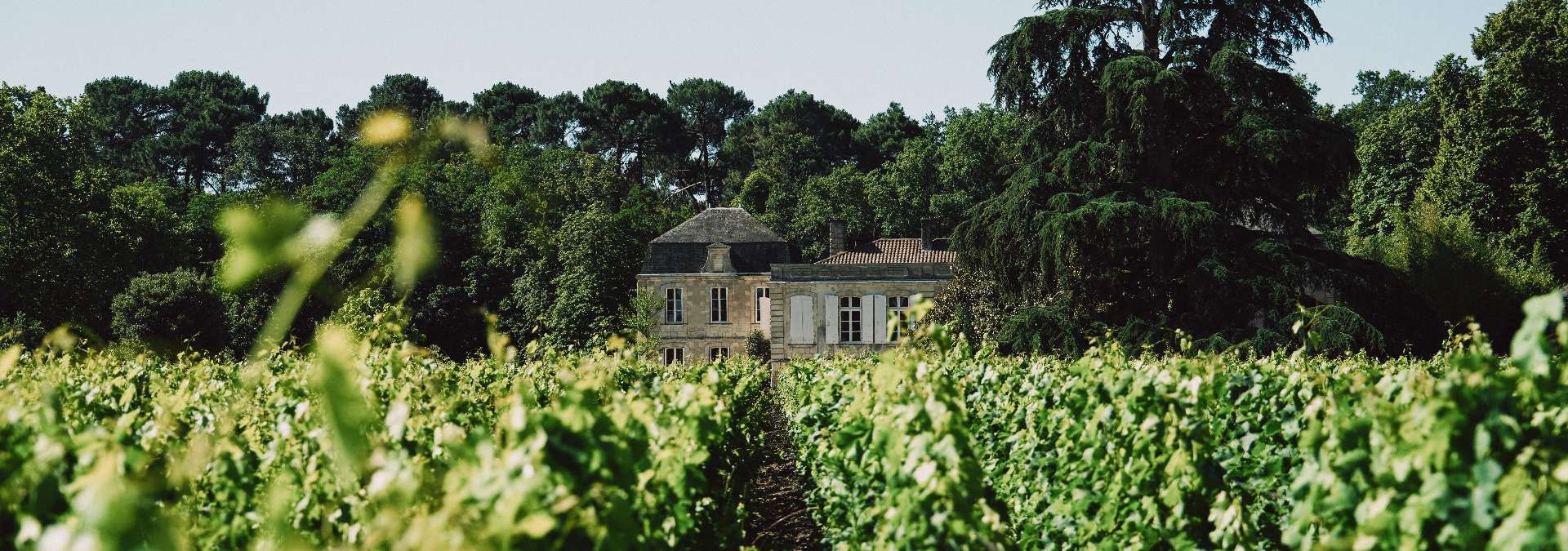 Château Picque Caillou - Rue des Vignerons
