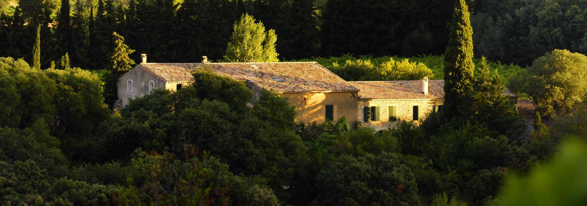 Mas de Daumas Gassac - Rue des Vignerons