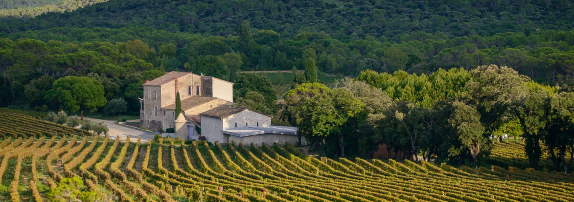 Château La Roque - Rue des Vignerons