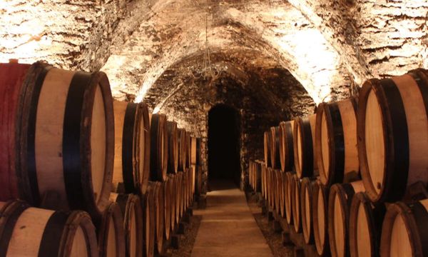 Visite des Caves du Chapitre de Notre Dame 5 vins-photo