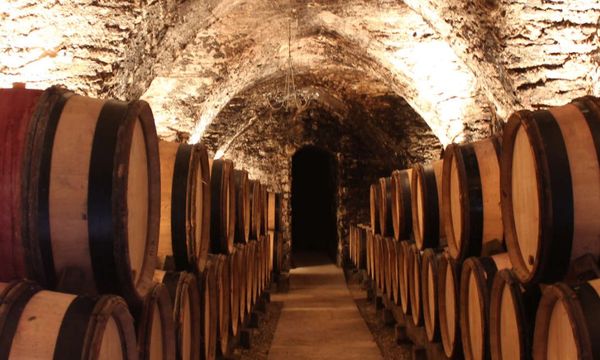 Cellars visit of 