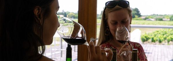 Inleiding tot het wijnproeven - 3 wijnen-photo