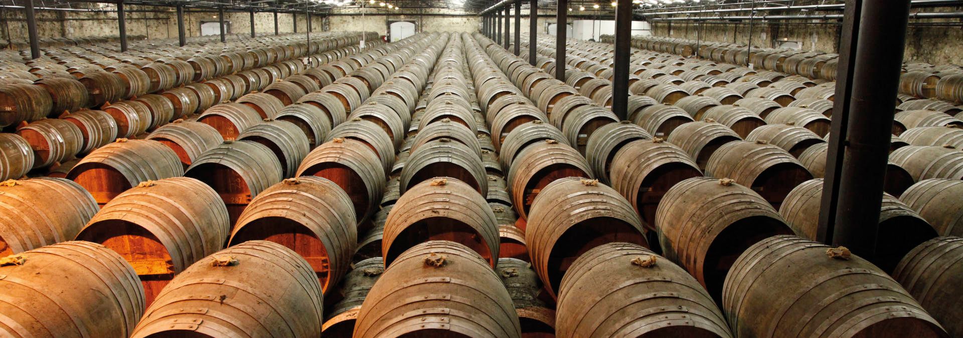 Rémy Martin Découverte du site d'élaboration