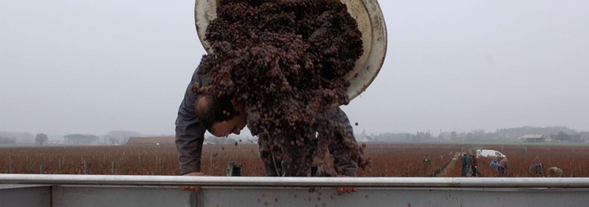 Domaine Benoit Daridan - Rue des Vignerons