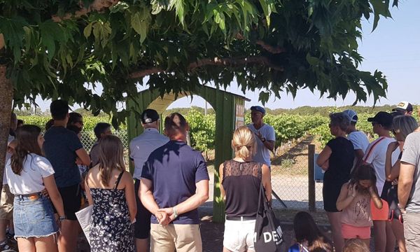 Gourmet tour-photo