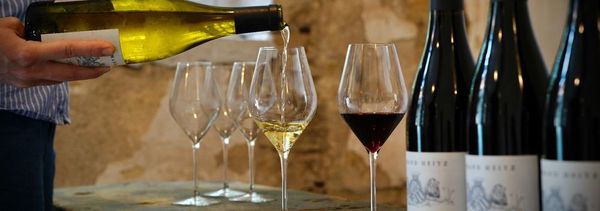 Les Secrets d'Armand - Tasting of 8 wines-photo