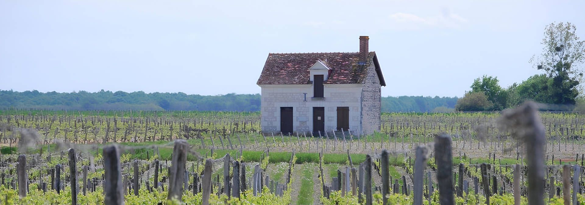 Vignobles Jourdain - Rue des Vignerons