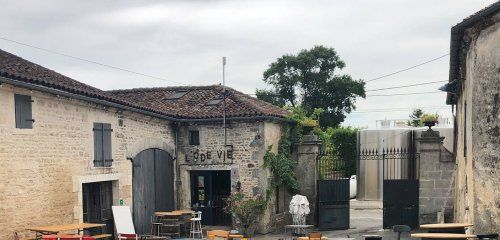 Domaine de la Chevalerie - Vignoble Pelletant photo