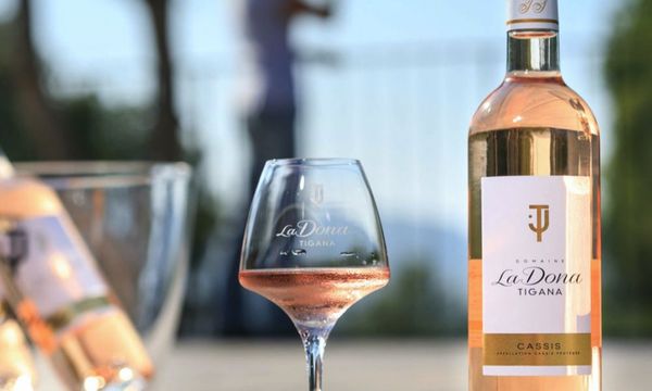 Descubra nuestros 3 vinos-photo