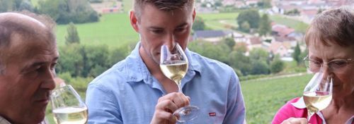 Champagne Daniel Pétré & fils photo