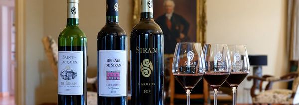 Degustación guiada-photo