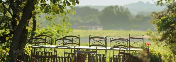 Picnic en La Sapinière-photo