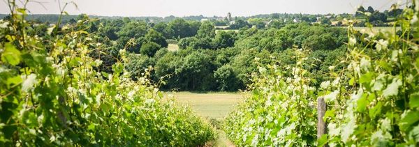 Treasure hunt - The High Perch Quest-photo