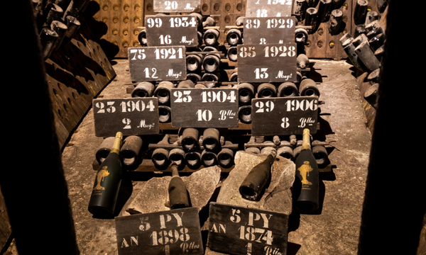 Guided tour of Pommery cellars - Vintage-photo