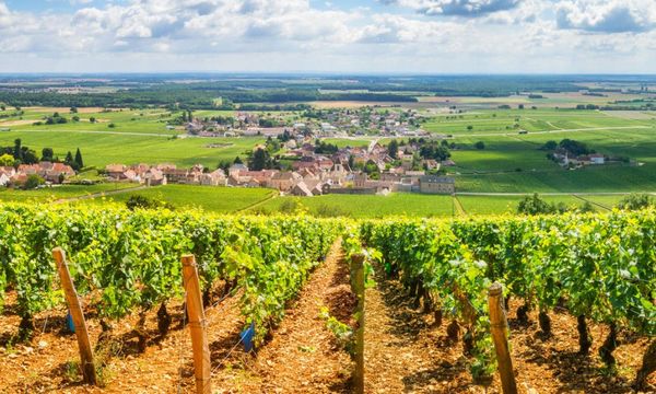 Full Day Wine Tour to Burgundy, from Paris-photo