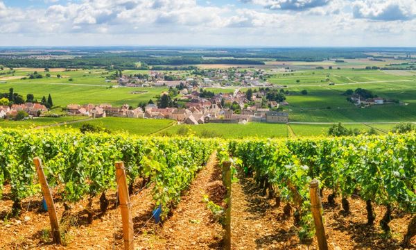 Journée Excursion en Bourgogne, depuis Paris-photo