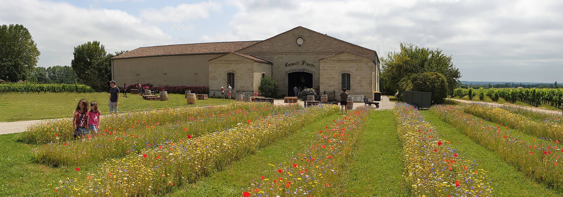 Château Cormeil-Figeac - Rue des Vignerons