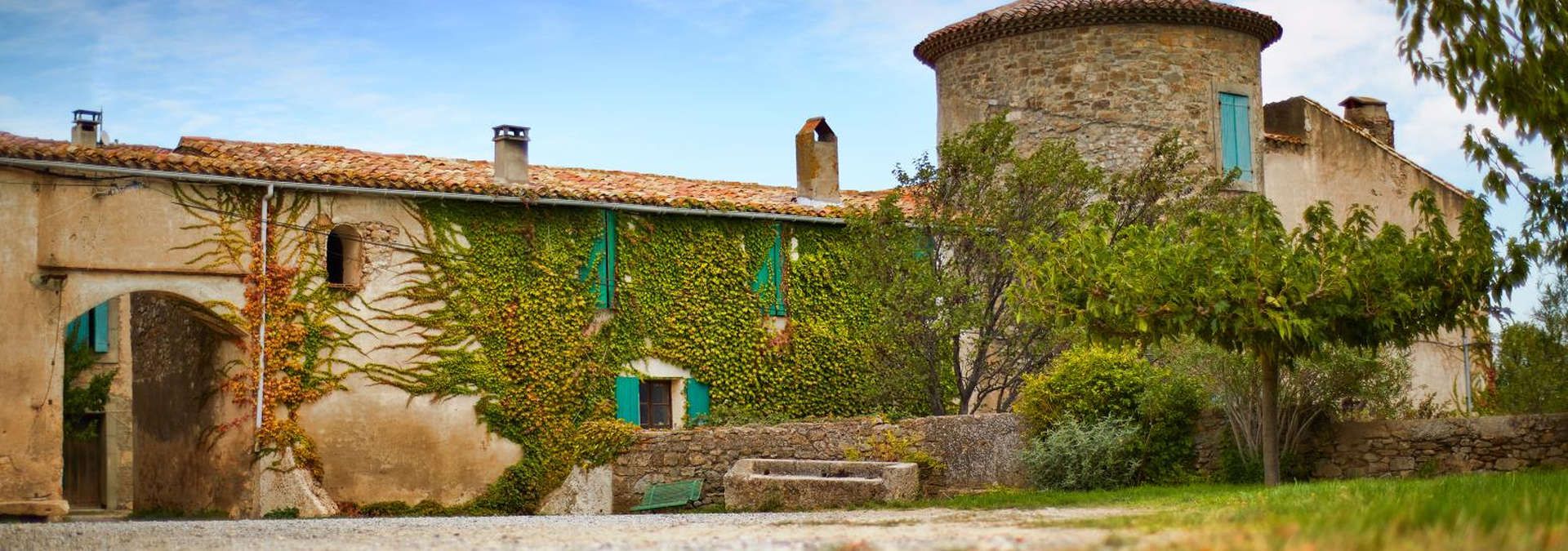 Chateau Pech Latt - Rue des Vignerons