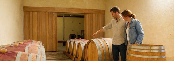 Immersion oenotouristique au cœur du Weingut-photo