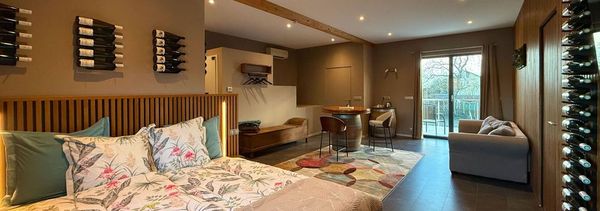 Een verblijf in het hart van de wijngaarden van de Elzas, Colmar-photo