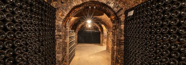 Visit our cellars-photo