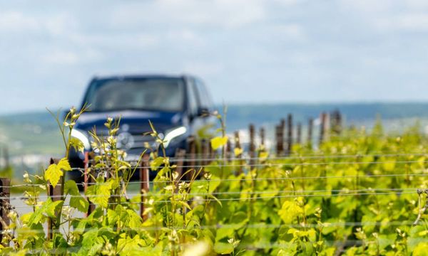 Vormittags von Reims aus die Winzer der Champagne entdecken-photo