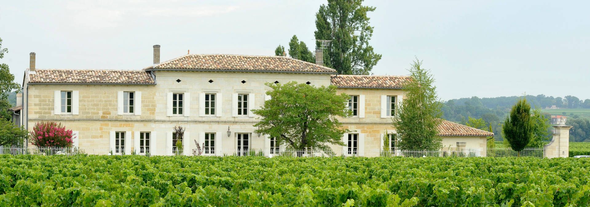 Château Grand Corbin-Despagne - Rue des Vignerons