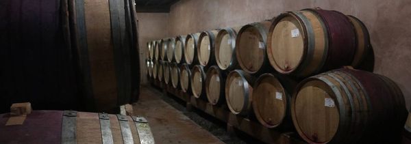 Descubra la finca y sus bodegas-photo