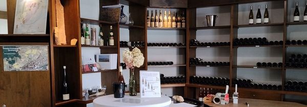 Dégustation des vins du terroir de Turckheim-photo