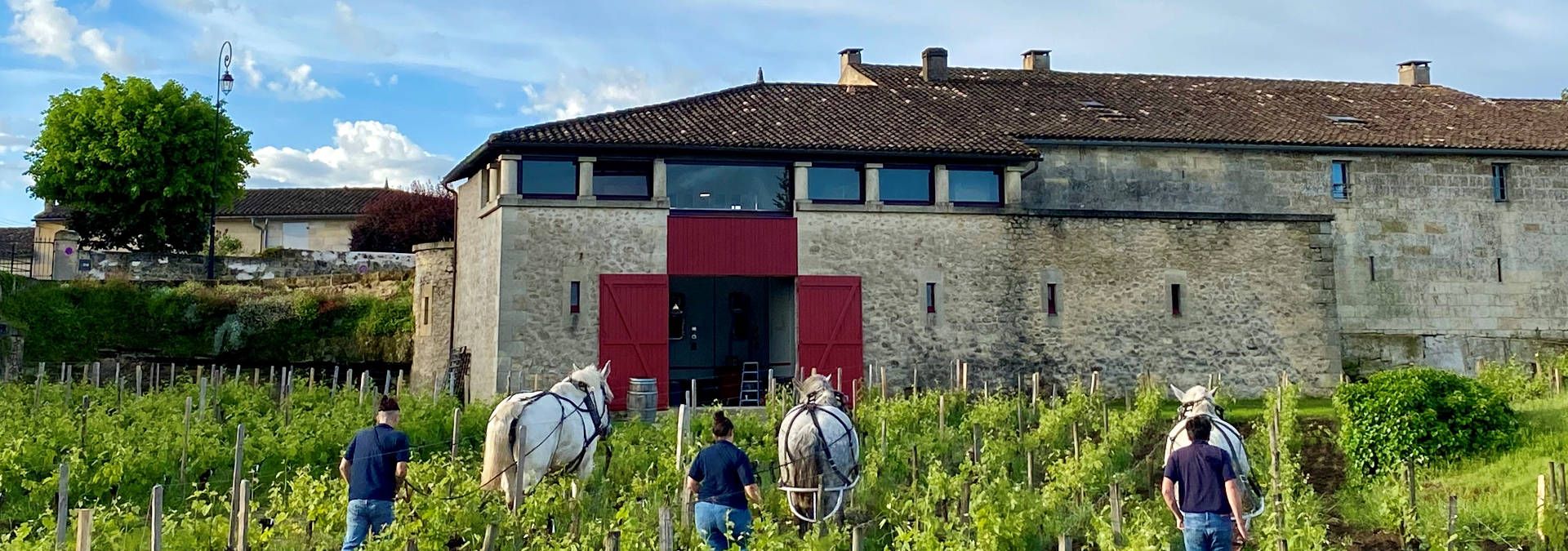 Château Cardinal-Villemaurine - Rue des Vignerons