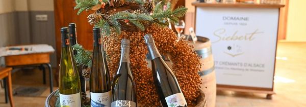 Dégustation Grand Cru Altenberg de Wolxheim-photo