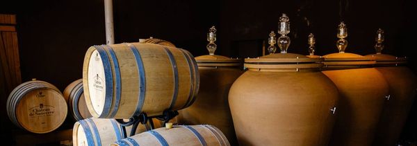 In the heart of the terroir-photo