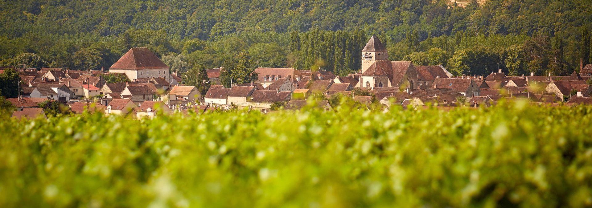 Domaine Francine et Olivier Savary - Rue des Vignerons