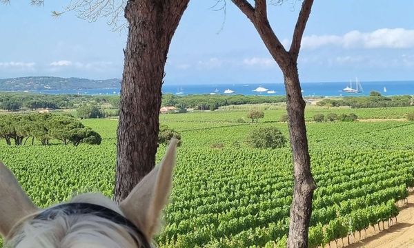 Excursion on horseback, facing the Bay of Pampelonne-photo