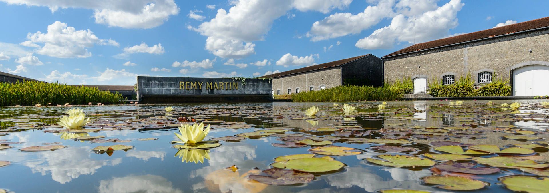 Rémy Martin Découverte du site d'élaboration