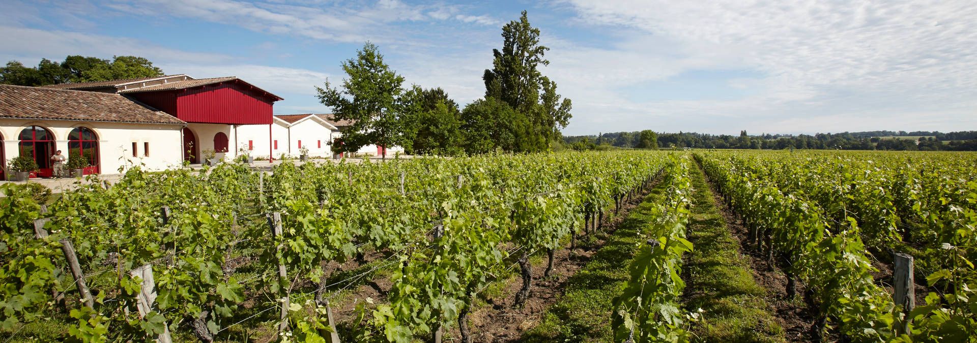 Château Grand Corbin-Despagne - Rue des Vignerons