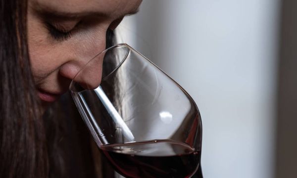 Vins blancs et rouges Grands Cru Classés (2 vins)-photo