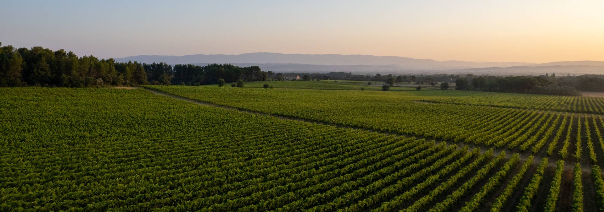 Château Paradis - Rue des Vignerons