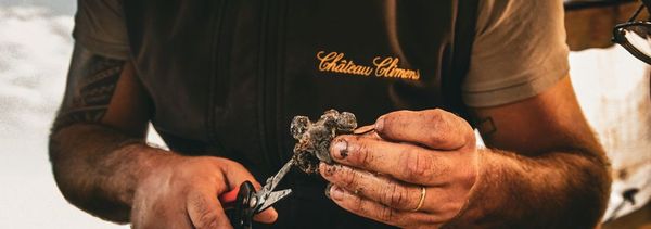 Le Savoir-Faire de Climens-photo