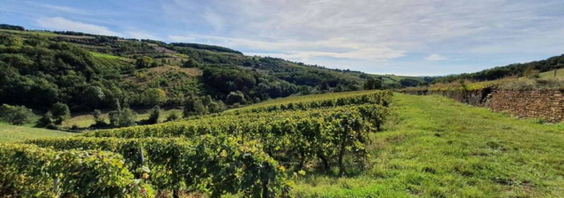 Domaine des Prévelières - Rue des Vignerons
