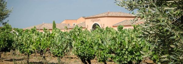 Visite libre du vignoble et dégustation -photo