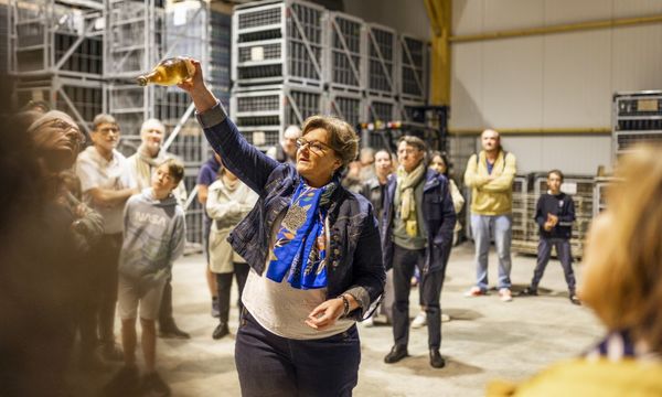 Visite des chais et dégustation-photo